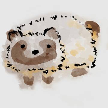 タヌキ