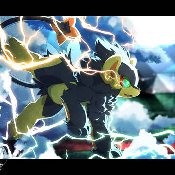 Wild charge