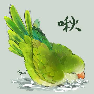 和尚鸚鵡