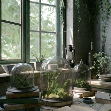Terrarium