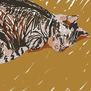 ねこ
