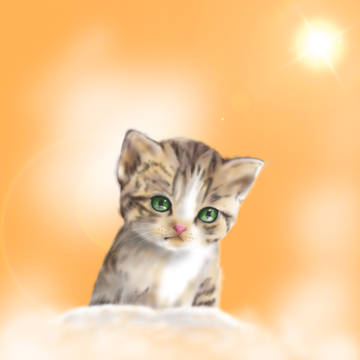 猫ちゃん2