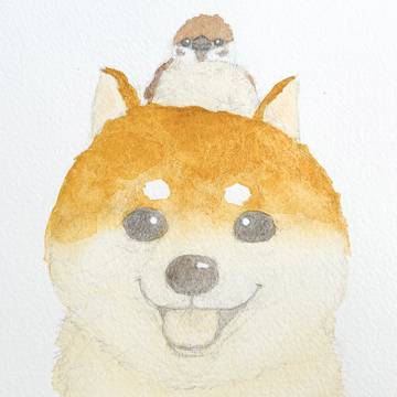 柴犬とすずめ