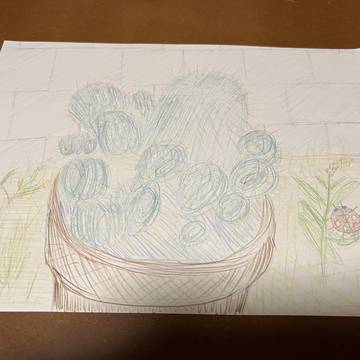 サボテン 白神丸 模写 背景付き