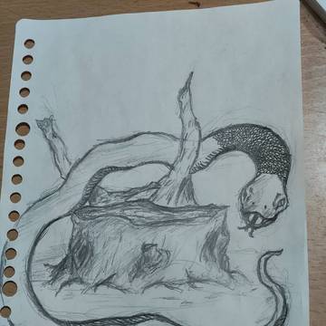 蛇