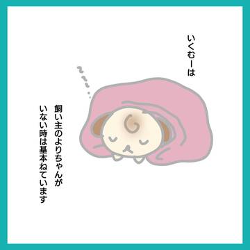おひるねいくむー
