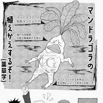 2/9伏せ恋無配