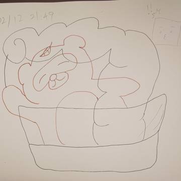 わたあめをつくるたぬき