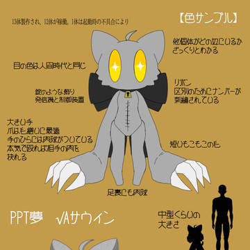 Aルート