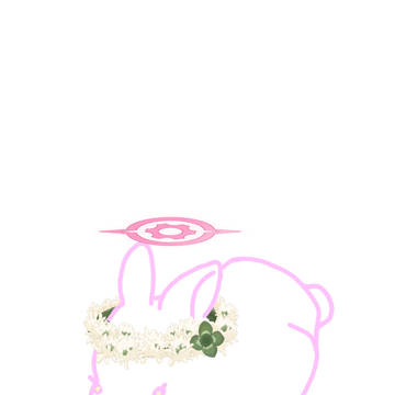 토끼 코유키
