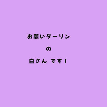 お願いダーリン 白さん