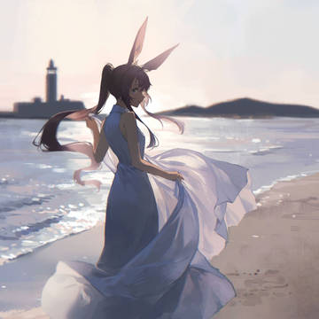 海
