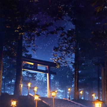 森の参道・夜