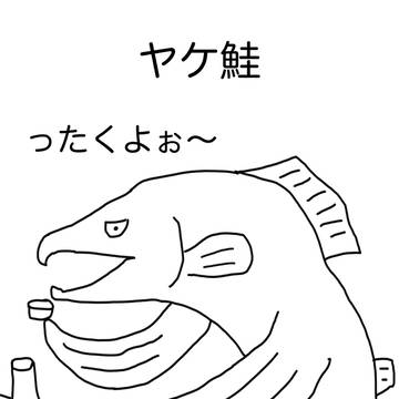 ヤケ鮭