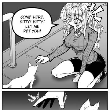Stray cat.