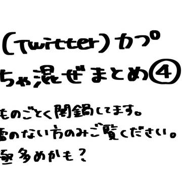 カプごちゃ混ぜまとめ④