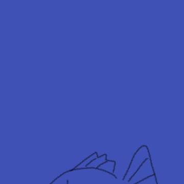 お魚