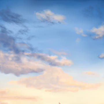 Sea Breeze