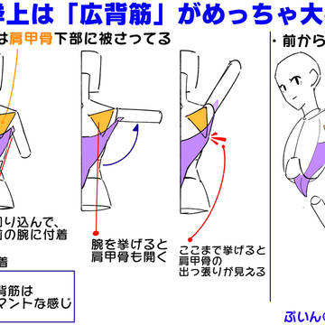 背中と腕の挙上の関係性
