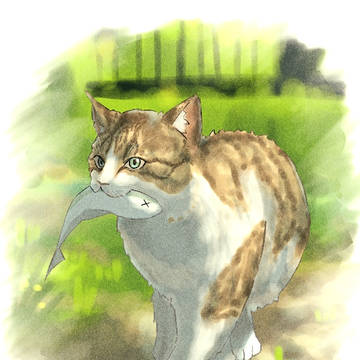 猫ちゃん😽
