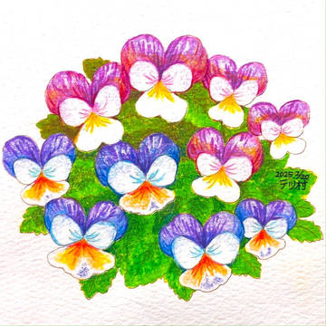 花20250220