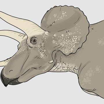 トリケラトプス