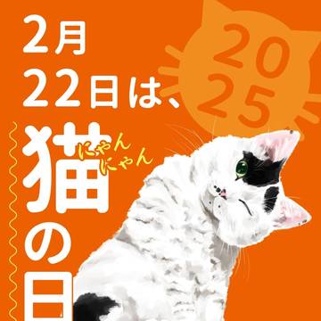 ニャンニャンデー🐾2025.02.22