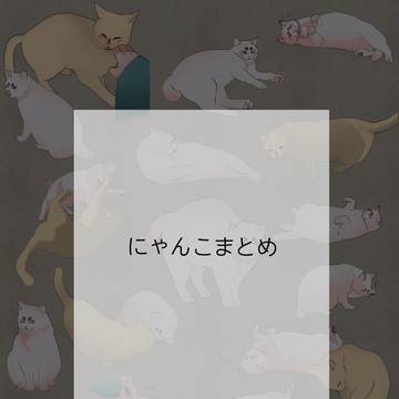 にゃんこ💊まとめ