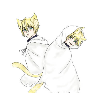 猫の日なので