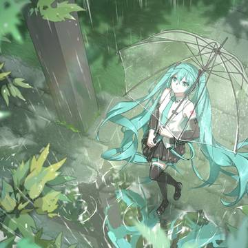 雨