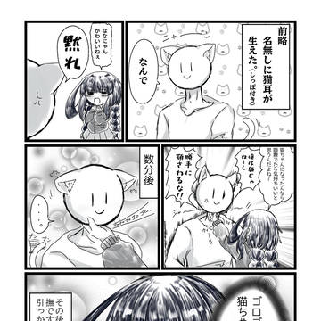 猫の日
