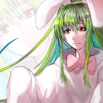 Bunny