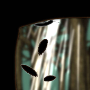 落葉の刻