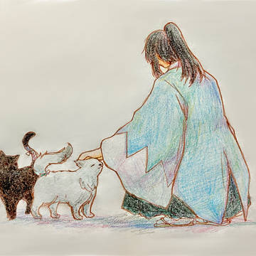 猫