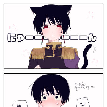 猫の日菊菊