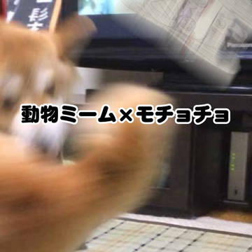 なんでか𝕏で反響あったな