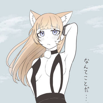 本猫みけ雑多