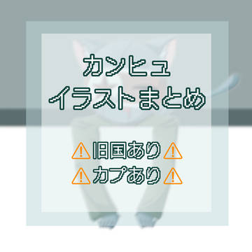 カンヒュまとめ　1