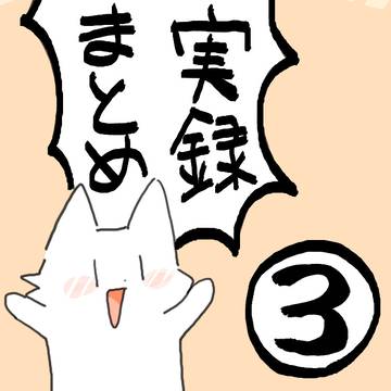 実録まとめ③