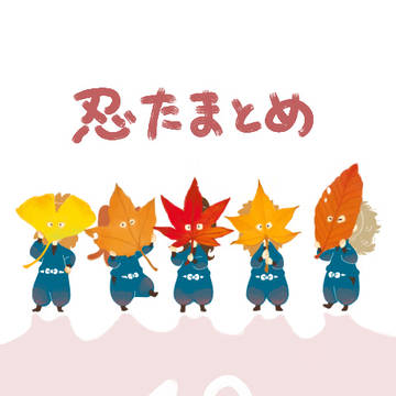 忍たまとめ10