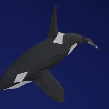 シャチ