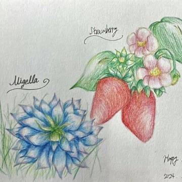 Strawberry・Nigella