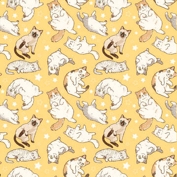 星だらけ猫だらけ