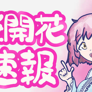 桜開花速報
