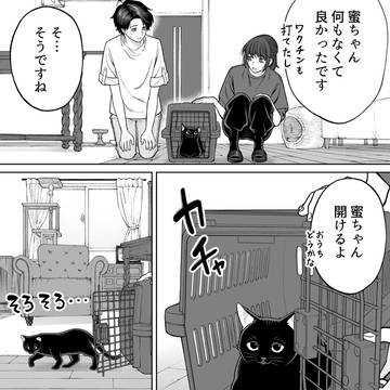 【会社と私生活】実は初めて