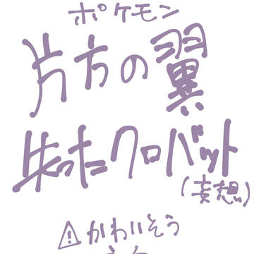 片方の翼失ったクロバット妄想らくがき