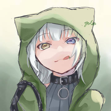 野良猫