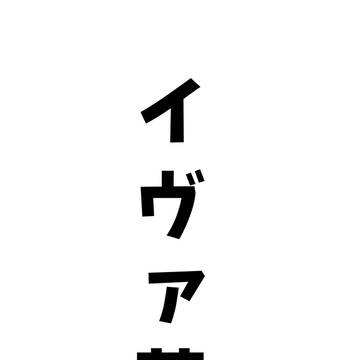 イヴァ菊
