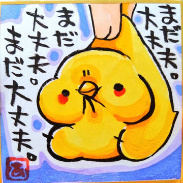 まいにちひよこ⑥