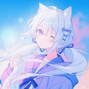白い猫